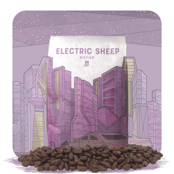 新品未使用【CONFFECT EDIFICE】SHEEPLEATHER CASIO Waterproof EDIFICE Sapphire Crystal Solar Powered Mens