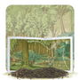 Verdant Harbor Sample
