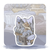 Dragon's  Nest Realm Sticker