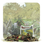 Fabled Foliage