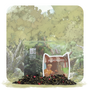 Fabled Foliage