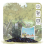 Fabled Foliage