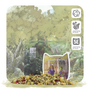 Fabled Foliage