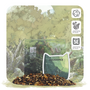 Fabled Foliage